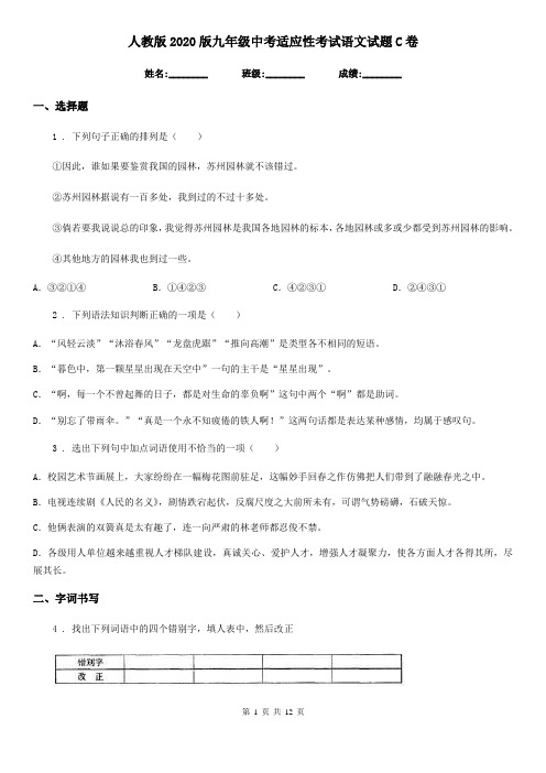 人教版2020版九年级中考适应性考试语文试题C卷