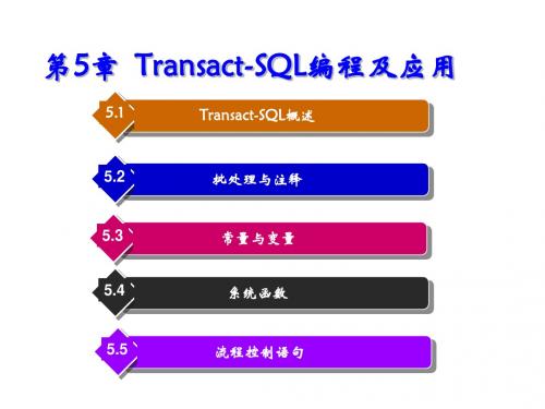 SQL Server 2008数据库应用教程第5章  Transact-SQL编程及应用