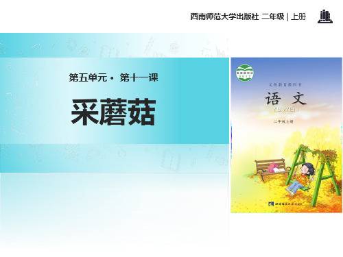 西师大版二年级语文上册《采蘑菇》PPT课件(3篇)