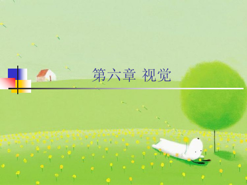 生理心理学第6章 视觉PPT