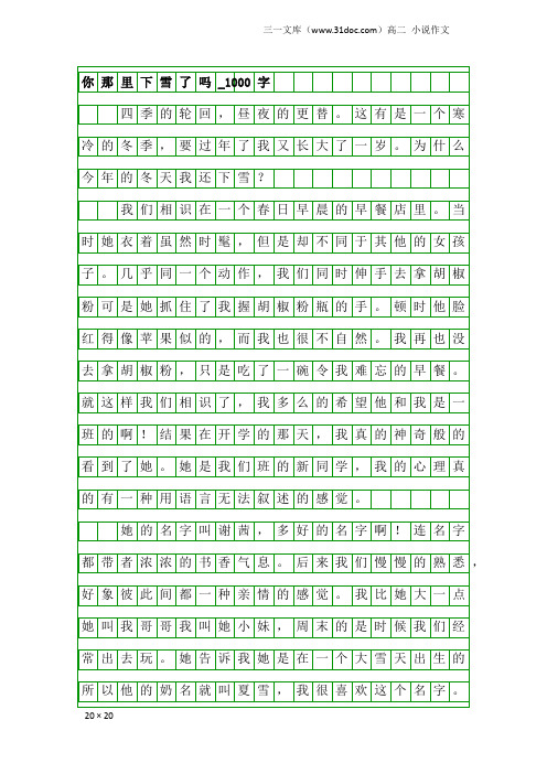 高二小说作文：你那里下雪了吗_1000字