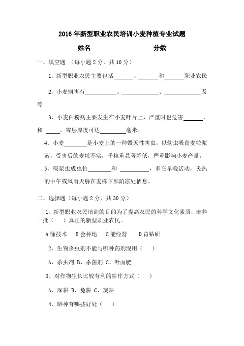 小麦种植试题