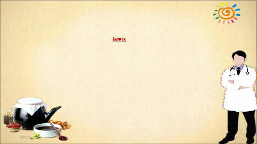 肠梗阻ppt课件(最新课件)