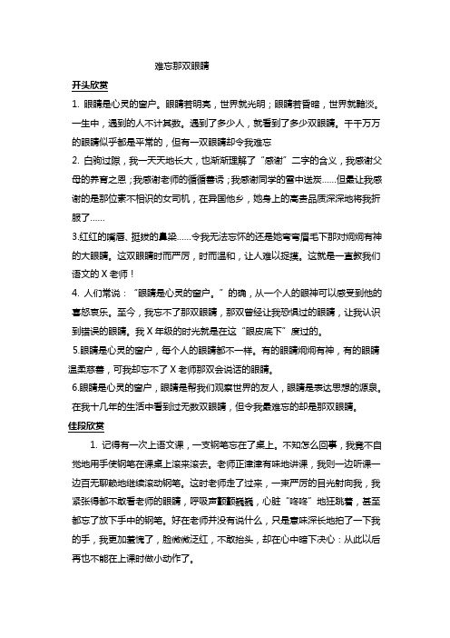 难忘那双眼睛作文