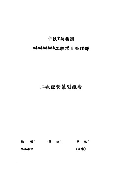 二次经营策划报告