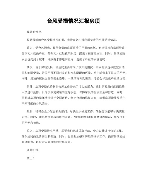 台风受损情况汇报房顶