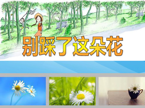 冀教版语文四下《别踩了这朵花》ppt课件课件PPT