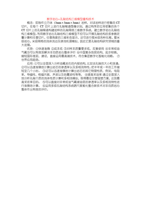 数字岩心--孔隙结构三维模型重构技术