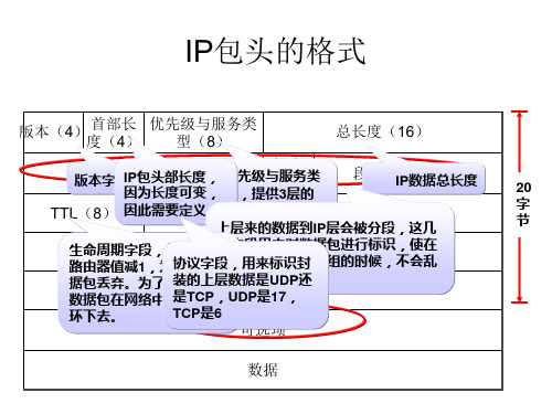 IP包头的格式