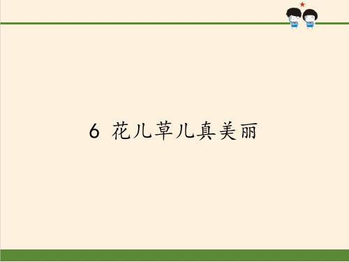 《花儿草儿真美丽》教学课件(共16张PPT)