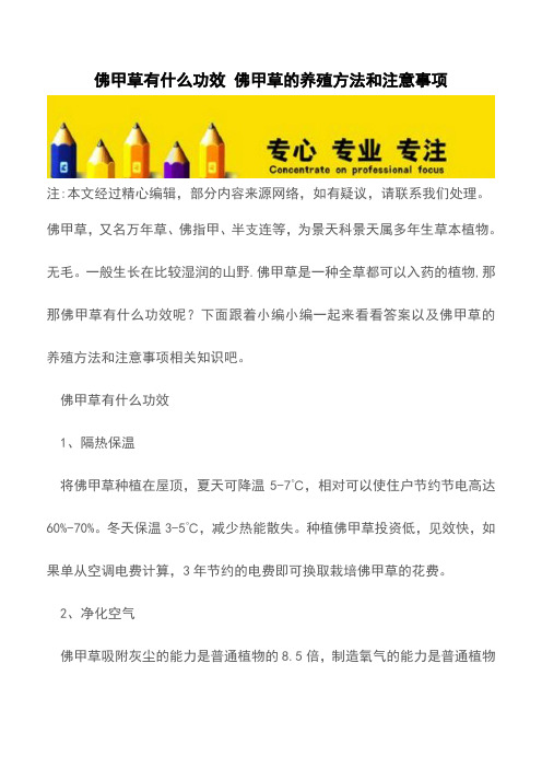 佛甲草有什么功效 佛甲草的养殖方法和注意事项