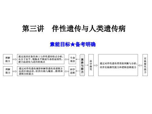 2022年高考生物一轮复习 伴性遗传与人类遗传病