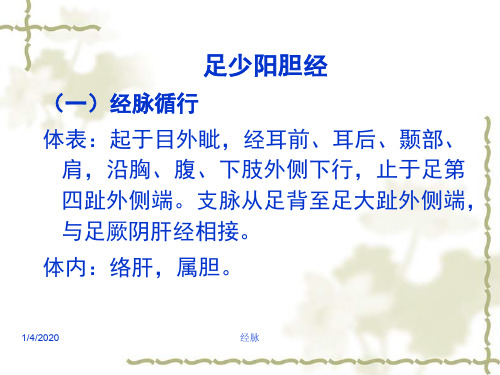 针灸学课件足三阳经17足少阳胆经ppt课件