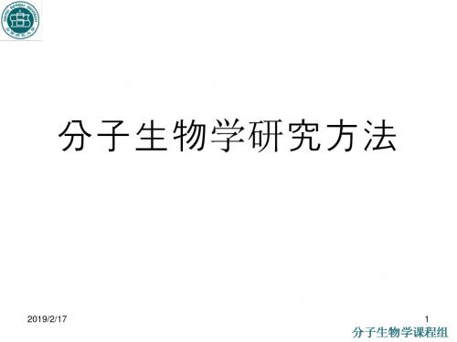 基因敲除技术