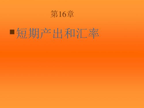 国际经济学第16章-PPT精选文档64页