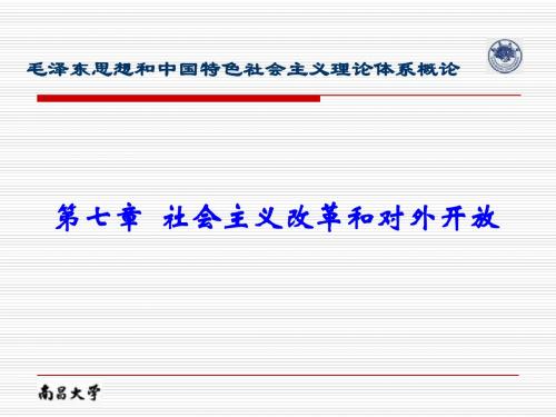 毛概第七章