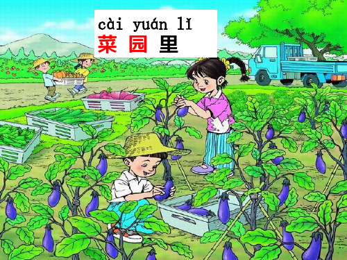 菜园里.PPT课件