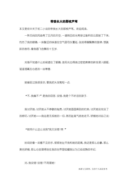 初二小说：带我长大的那枝芦苇