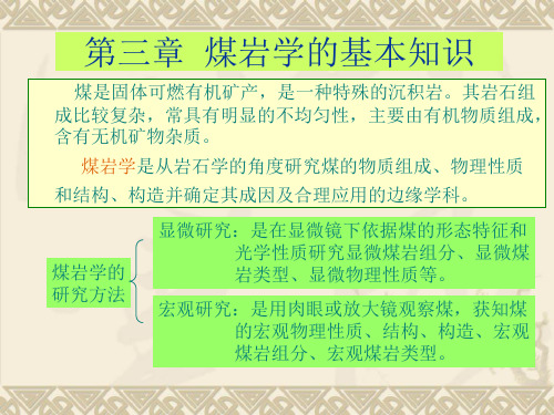 第三章(煤岩学)