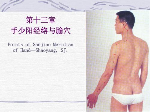 【中医 12经 课件 PPT】10三焦经_2