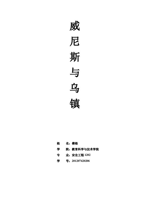 意大利威尼斯与中国水乡乌镇   傅裕
