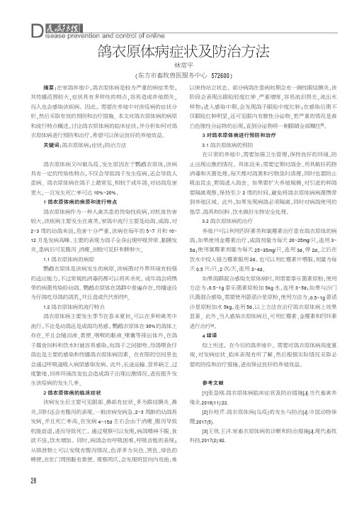 鸽衣原体病症状及防治方法