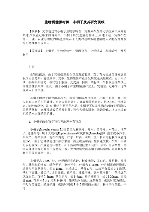 生物质能源树种-小桐子及其研究现状