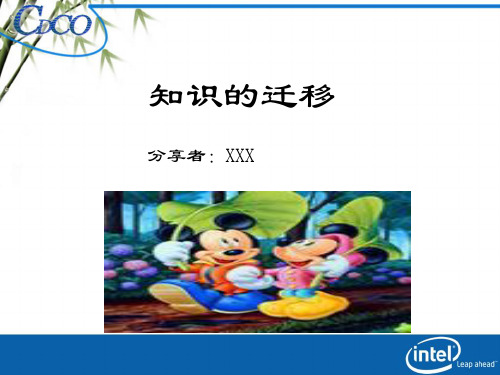 知识的迁移