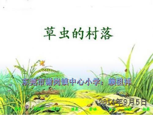 《草虫的村落》第二课时课件