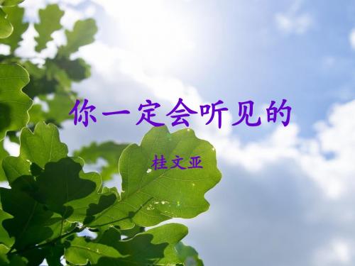 你一定会听见的ppt课件全面版