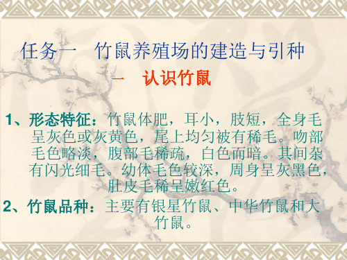 中华竹鼠的养殖