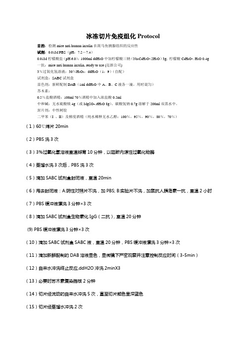 zebrafish免疫组化sabc