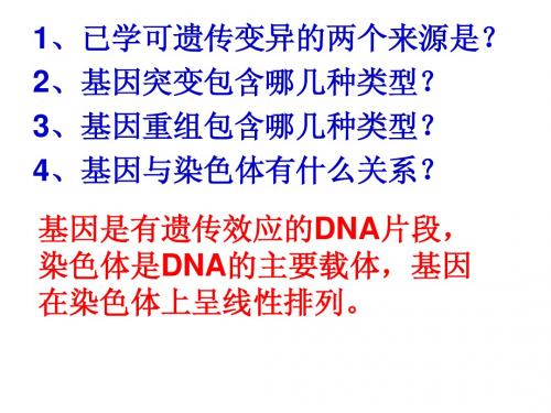 染色体变异1