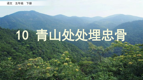【部编人教版】《青山处处埋忠骨》PPT课件五年级下册第10课