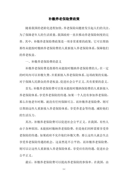 补缴养老保险费政策