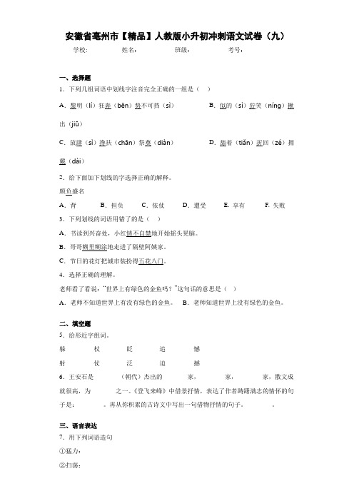 人教版小升初冲刺语文试卷(九)(含答案解析)