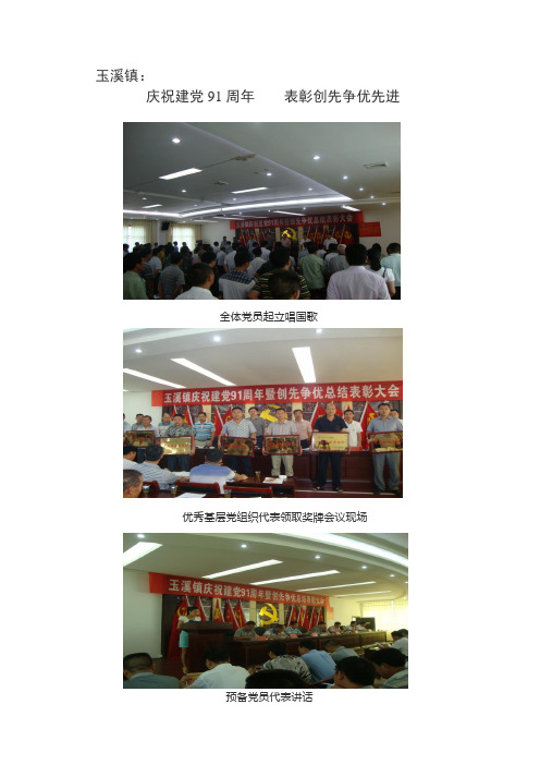 玉溪镇：庆祝建党91周年  表彰创先争优先进