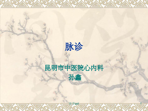 通往名医之路-脉诊