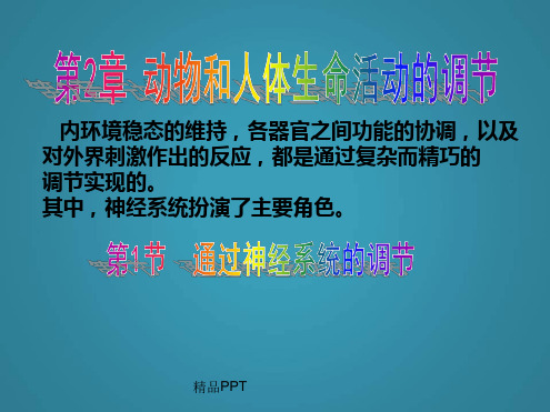 人教版高中生物必修3第2章动物和人体生命活动的调节第1节通过神经系统的调节课件10