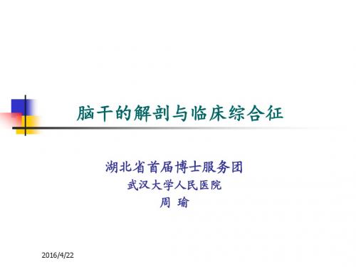 PC0123 【专家课件】脑干的解剖及临床综合征