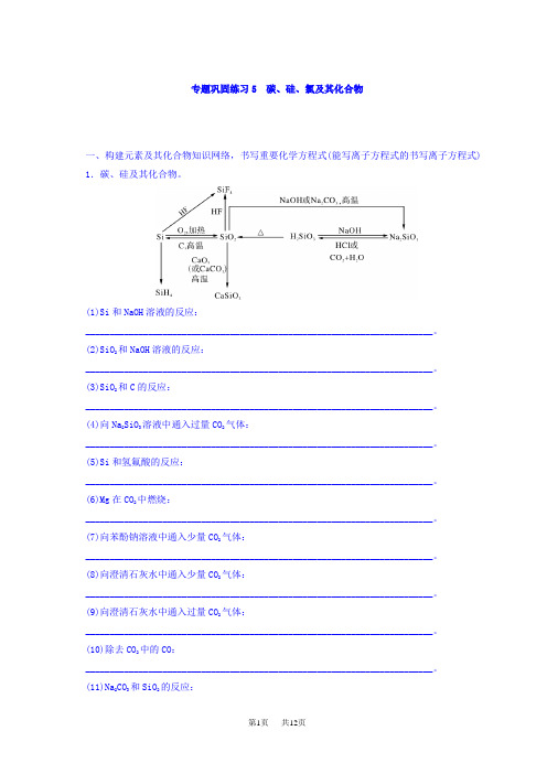 高考化学大一轮专题复习课时作业：第二单元 元素及其化合物 专题巩固练习5 碳、硅、氯及其化合物 含答案