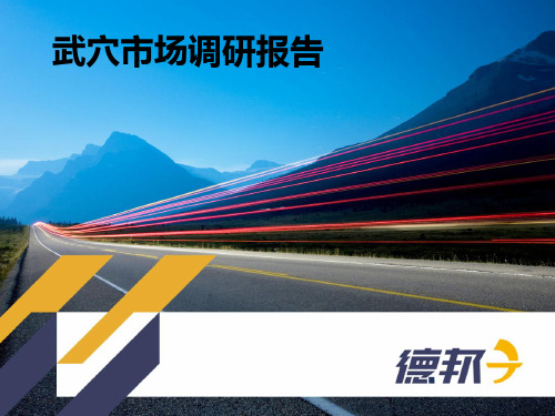 武穴市场调研报告 PPT课件