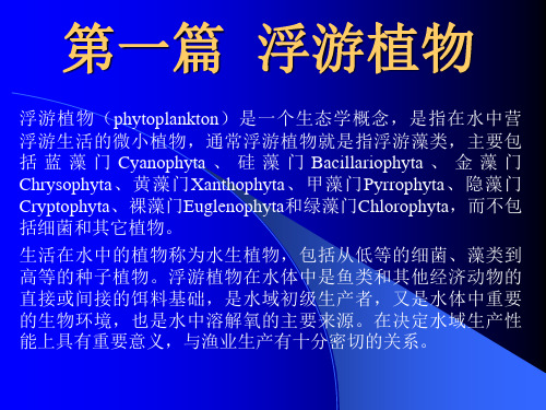 第一篇浮游植物-PPT精品