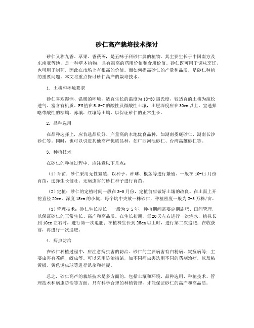 砂仁高产栽培技术探讨