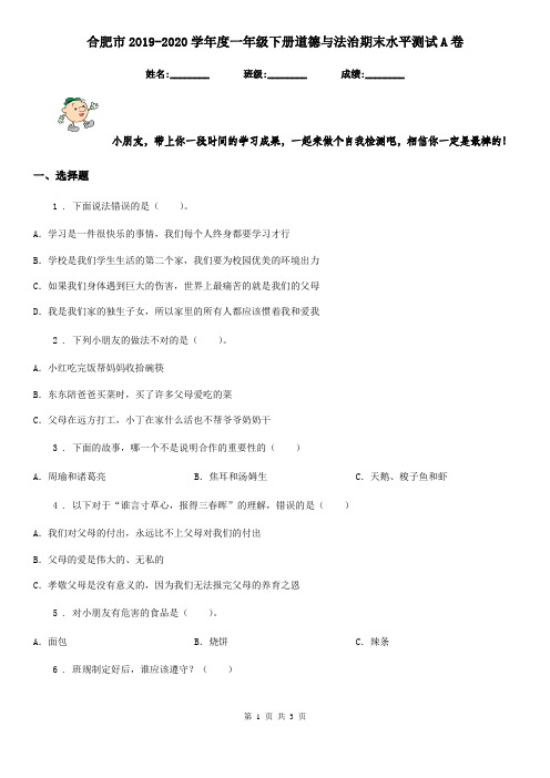 合肥市2019-2020学年度一年级下册道德与法治期末水平测试A卷