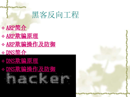 ARP欺骗与DNS欺骗