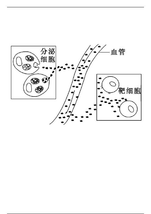 干货丨高中生物必修三激素调节知识点