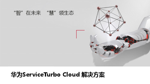 智能化ServiceTurbo Cloud解决方案
