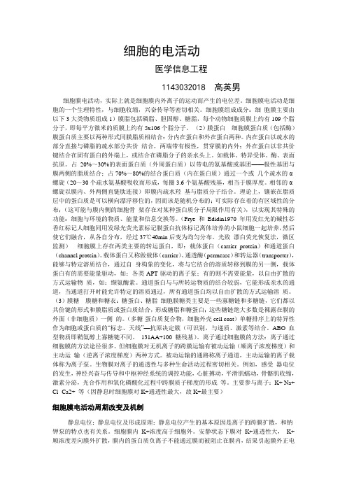 细胞的电活动