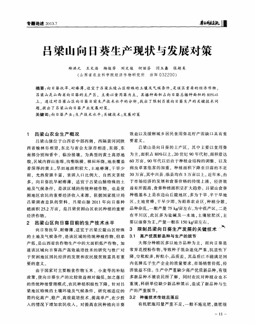 吕梁山向日葵生产现状与发展对策